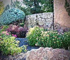 LANDSCAPE/IRRIGATION